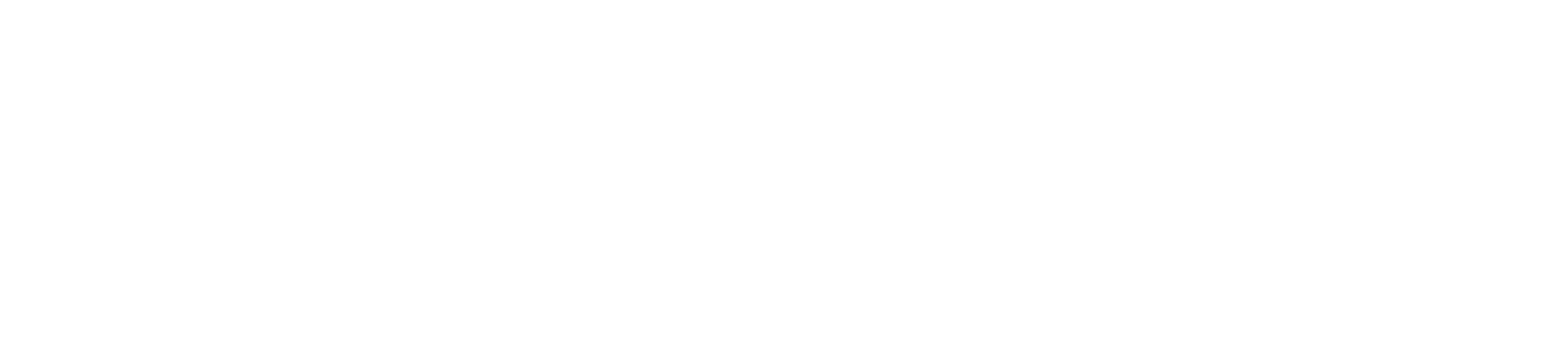 Bottle Lines